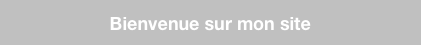 Bienvenue sur mon site